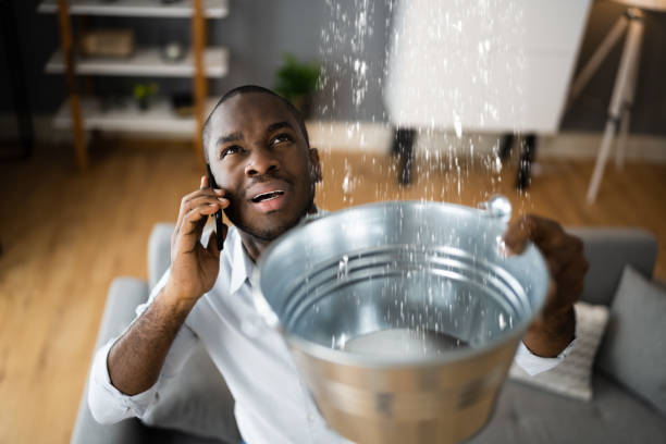 Best Basement water damage restoration  in Groveland, ID
