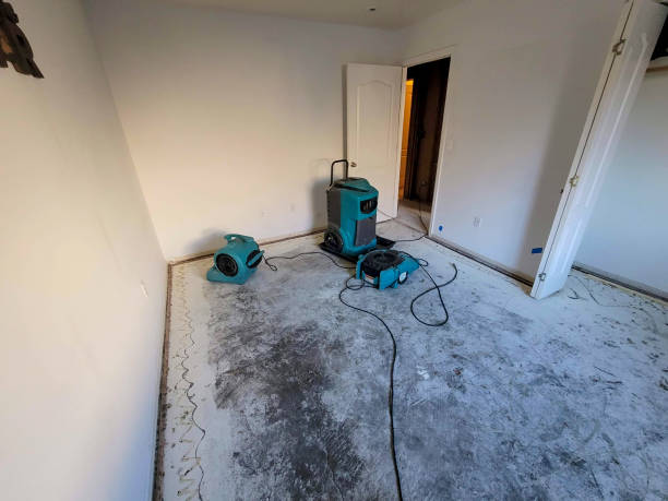 Best Local water damage restoration  in Groveland, ID