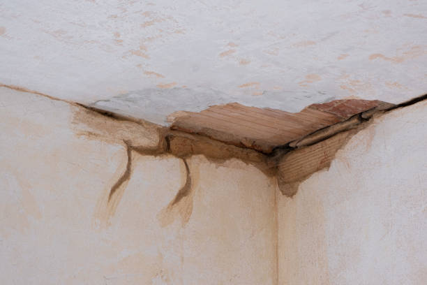 Best Flooded house restoration  in Groveland, ID