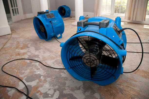 Best Flood damage cleanup  in Groveland, ID