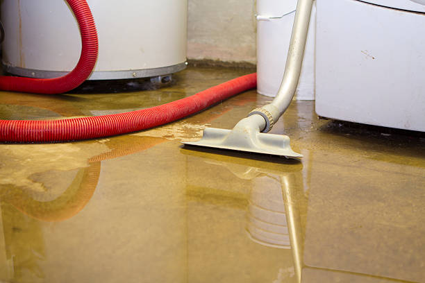 Best Professional water damage repair  in Groveland, ID